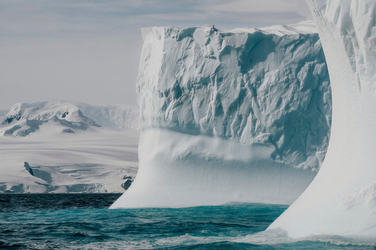 Luxury Wildlife Holidays in Antarctica: A Solo Traveler’s Journey Into Silence
