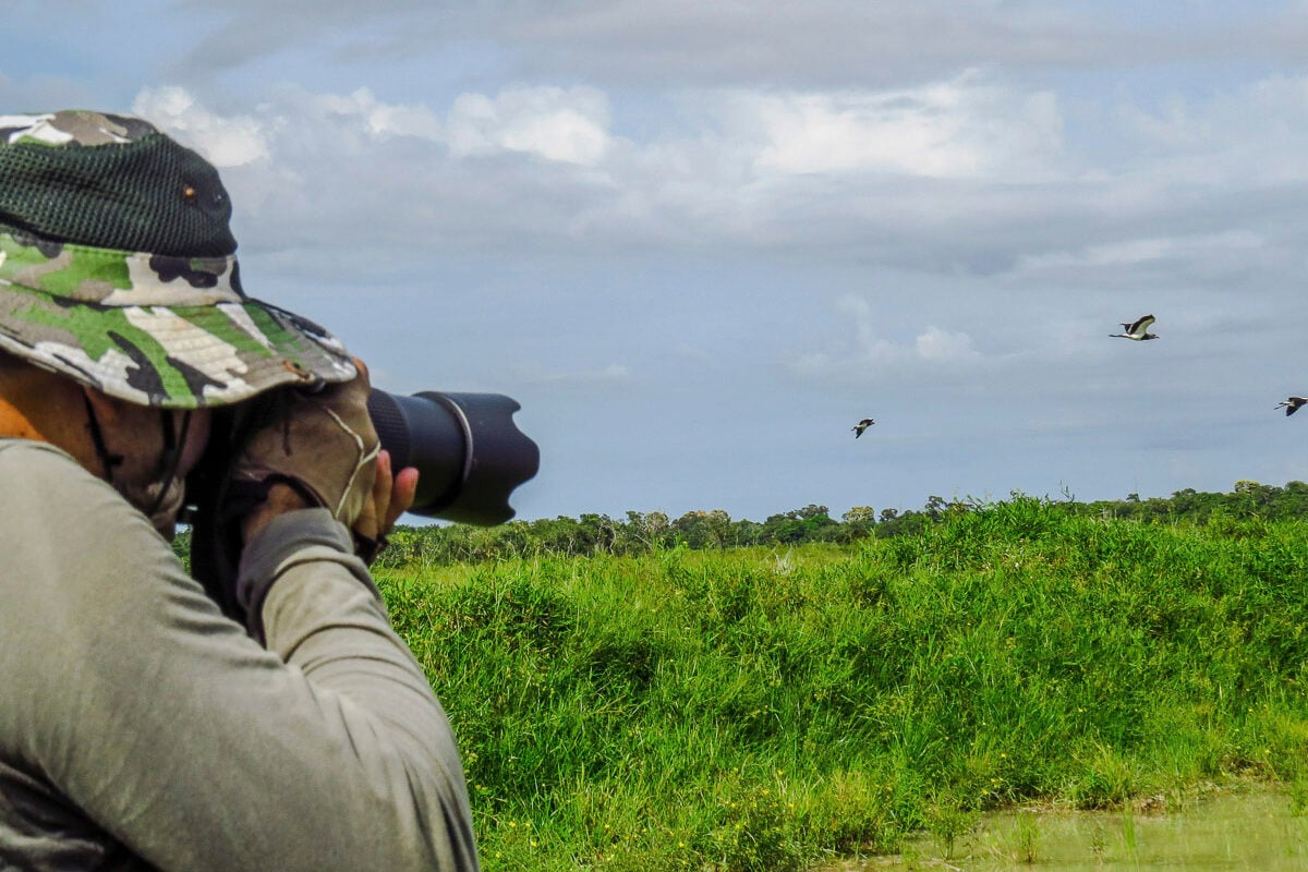 Best destinations for birdwatching in South America